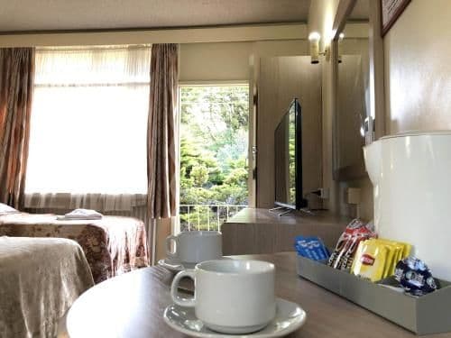 Motel Triple Ensuite – 1 Queen and 1 Single
