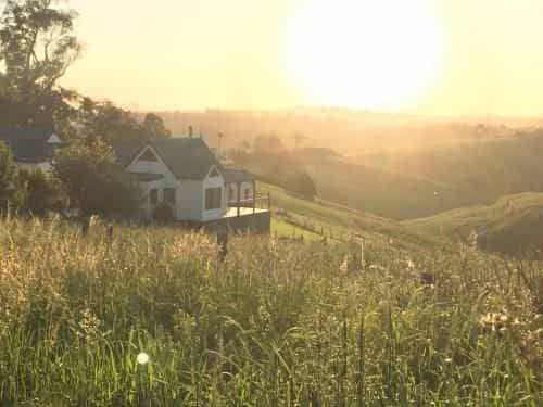 Loves Lane Cottages