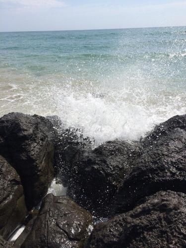 Seaspray1
