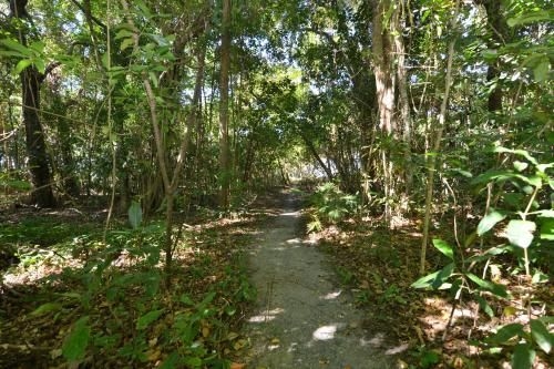 Sea La Villa Port Douglas2