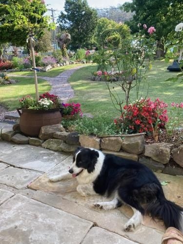 Orford's Sanda House B&B4