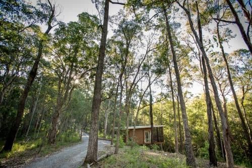 Treetop Self-Contained Cabin