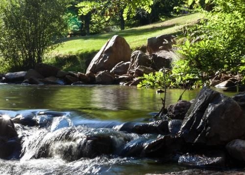 NRMA Bright Holiday Park1