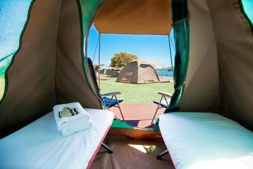 Deluxe Camping Tent