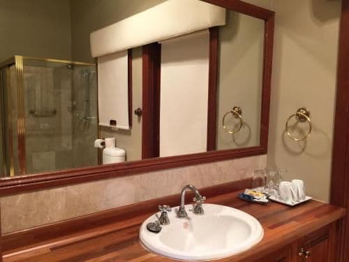 Deluxe One-Bedroom Apartment