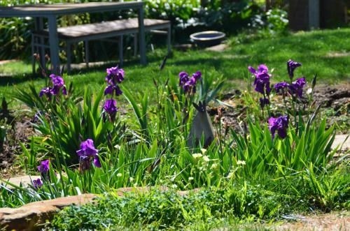 Dairyman's Cottage3