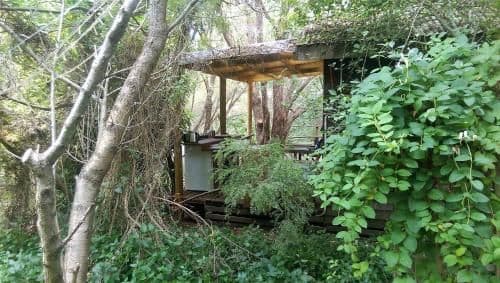 One-Bedroom Bungalow