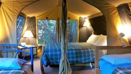 Tent