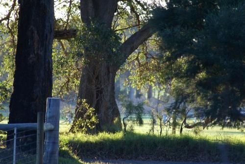 Ellensbrook Cottages3