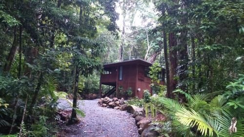 Black Palm Cape Tribulation2