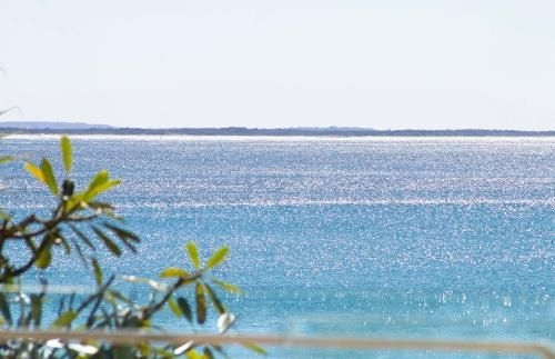 Fairshore 151