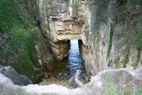 Cedar Cottages Blackmans Bay2