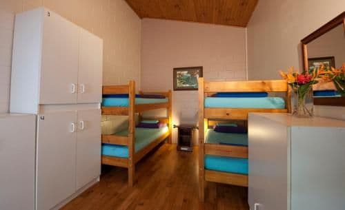 Bunk in Mixed 4-Bed Share Room
