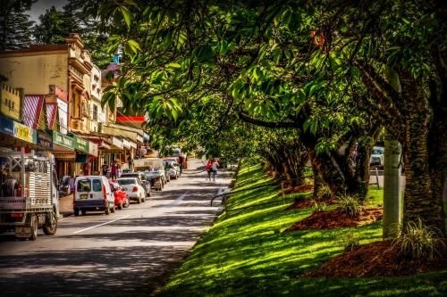 Mountain Whispers Leura Rose4