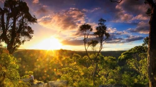 Mountain Whispers Leura Rose2