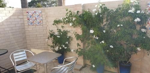 Alexander Drive B & B3
