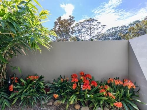 Piana Apartment Two :: Jervis Bay Rentals (Piana Apartment Two Jervis Bay Rentals)2