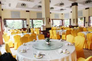 Golden Phoenix Seaview Golden Phoenix Seaview