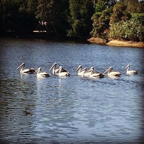 Swan Valley Sisters1
