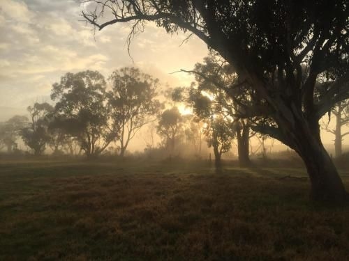 Bush Retreat Farm Stay2