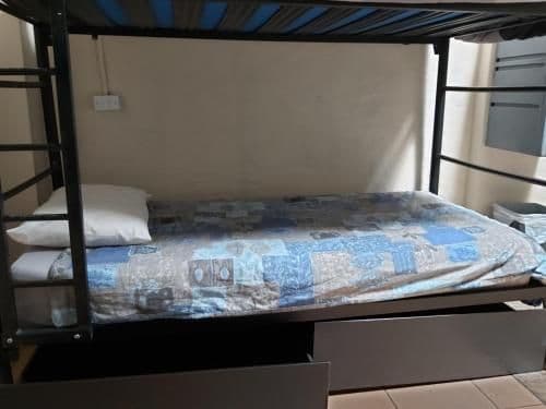 Bed in 4-Bed Mixed Dormitory Room