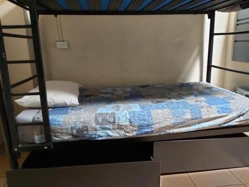 Bed in 4-Bed Mixed Dormitory Room