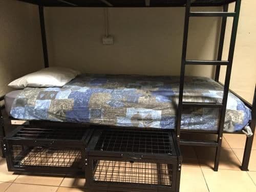 Bed in 4-Bed Mixed Dormitory Room