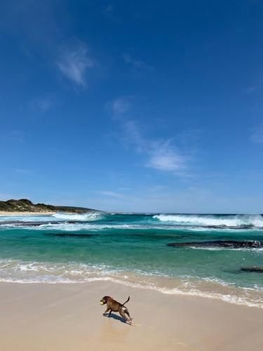 160 Steps... from Yallingup Beach1