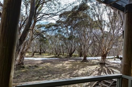Snowgums 074