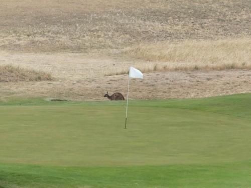 Front 9 then Dine - 3/61 St Andrews Boulevard1