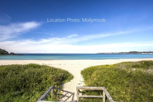 Mariners 2 - Mollymook3