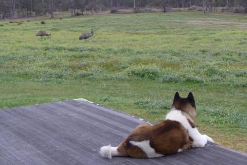 Margaret River Farmhouse4