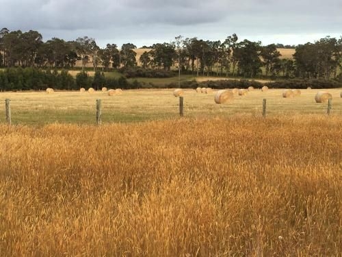 Margaret River Farmhouse2