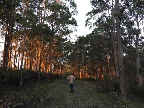 Margaret River Farmhouse1