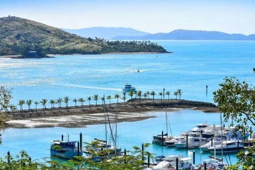 Point Blue on Hamilton Island1
