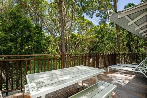 Dual-living amongst the rainforest, Little Cove4