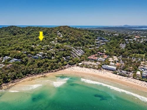 Dual-living amongst the rainforest, Little Cove3