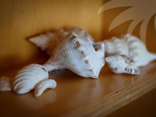 Sea Shack3