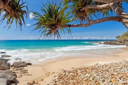 Coolum Classic Beach Shack - Pet Friendly Coolum Classic Beach Shack - Pet Friendly
