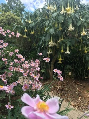 Adelaide Hills B&B Accommodation2