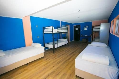 Single Bed in 4-Bed Dormitory Room