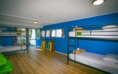 Bed in 4-Bed Mixed Dormitory Room