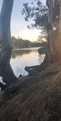 Perricoota Station1