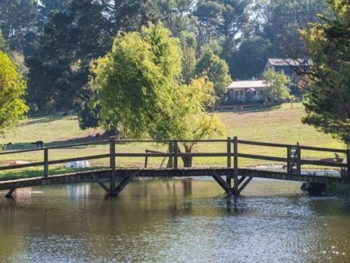 Serenity - Merricks North Cottage4