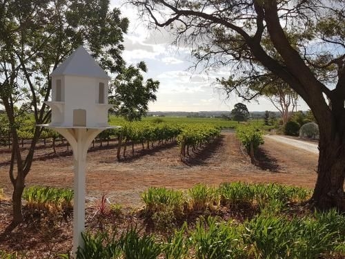 'In The Vines' Guest Cottage, Barossa Valley (Cottage In The Vines)0