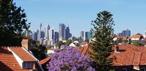 Waterside Mosman Bay Apartment w Stunning Views1