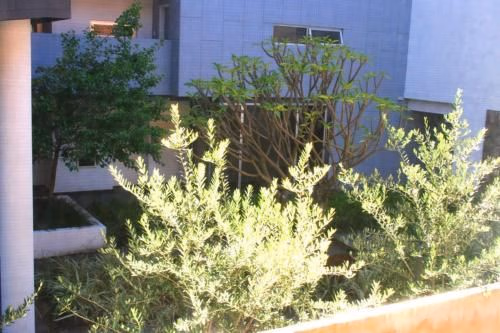 M4 Apartment Near Kings Park and Perth City1