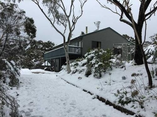 Treetops Retreat Katoomba1