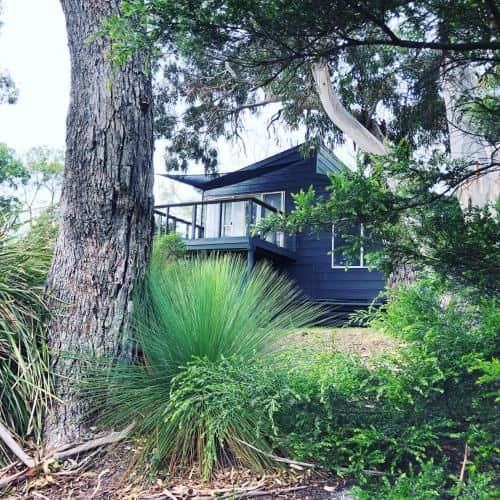 Bush Hideaway by the beach Bush Hideaway by the beach