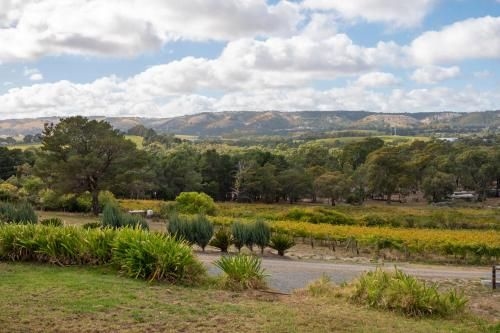 WayWood Wines Your Vineyard Getaway3